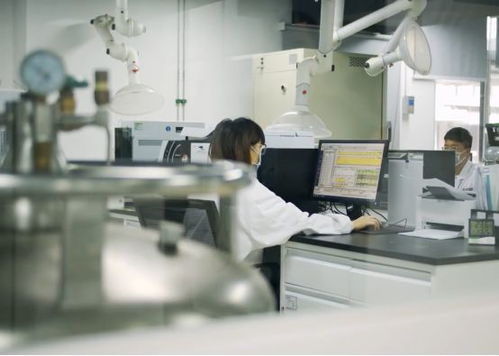 生產活力有序恢復，儀器儀表綜合服務與物聯網應用雙輪驅動助力企業提質增效